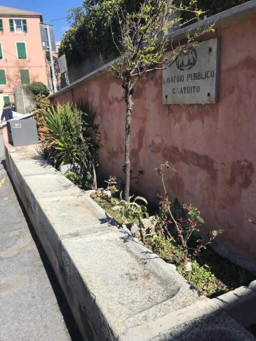 Pisi Home, 2 Min Dalla Spiaggia E Dall' Ospedale Gaslini Genua Zewnętrze zdjęcie